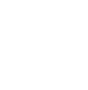 Icon Film and Photo